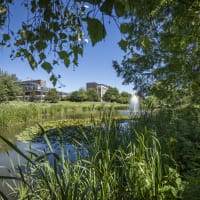 University of Bath Online