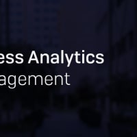 The Abu Dhabi School Of Management