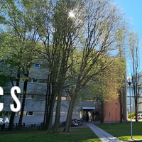 University of Ferrara