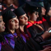Domain Academy