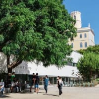 NOVA School of Law