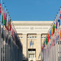 The United Nations Institute for Training and Research (UNITAR)