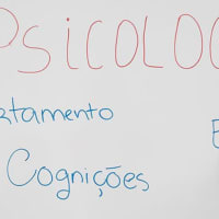 Universidade Católica Portuguesa – Porto