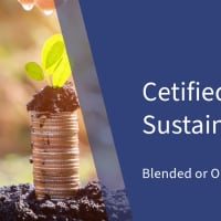 Frankfurt School of Finance & Management - Sustainable World Academy