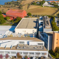 Egas Moniz School of Health & Science