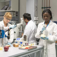 Free University of Bozen-Bolzano