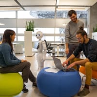 Free University of Bozen-Bolzano