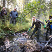 Swedish University of Agricultural Sciences