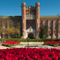 University of Oklahoma Online