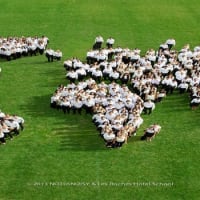 Les Roches Jin Jiang International Hotel Management College