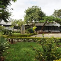 Universidade Estadual Paulista (UNESP)