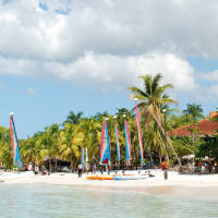 International University of the Caribbean