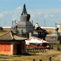 Mongolian University Of Life Sciences