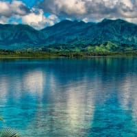 University of Fiji