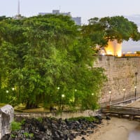 Inter American University of Puerto Rico