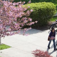 International Programs at Tufts University