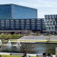 Erasmus School of History, Culture and Communication - Erasmus University Rotterdam