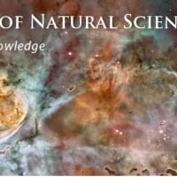 Rice University | Wiess School of Natural Sciences