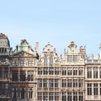 The Institute for European Studies