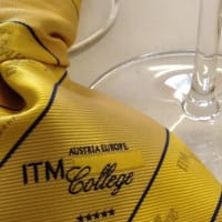 ITM College and University Studies