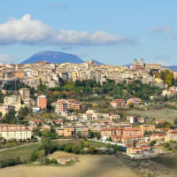 University of Camerino the international School of Advanced Studies