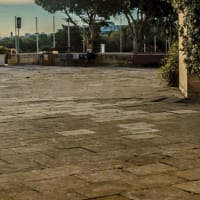 University of Malta