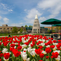 University of Southern Indiana