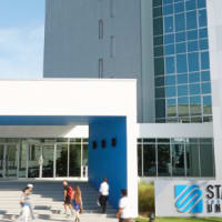 Stamford International University