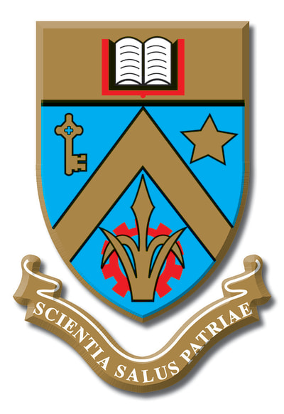 University of Mauritius