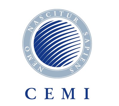 Central European Management Institute (CEMI)