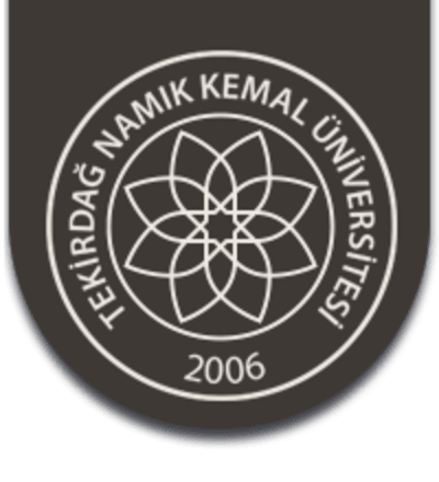 Namik Kemal University