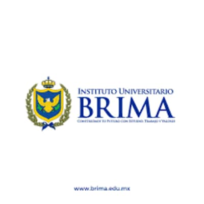 Brima Institute
