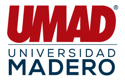 Madero University