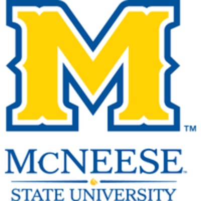 McNeese State University College of Business