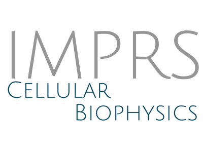 International Max Planck Research School on Cellular Biophysics