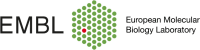 European Molecular Biology Laboratory