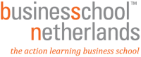 Business School Netherlands Nigeria