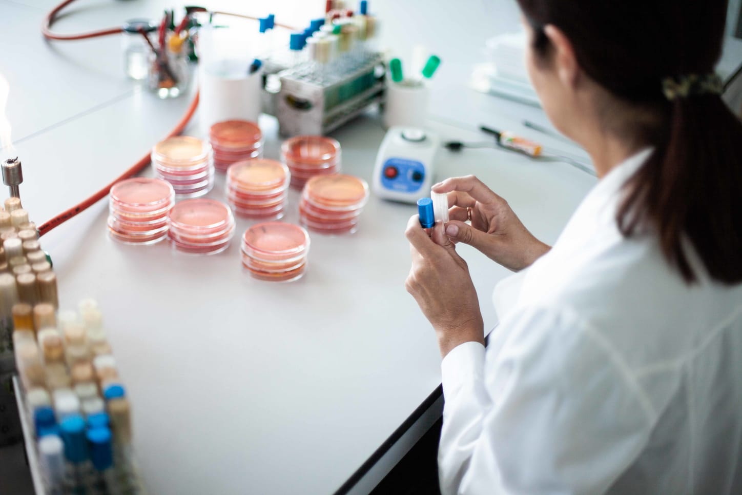 Kaunas University of Technology Master of Science in Food Science and Nutrition