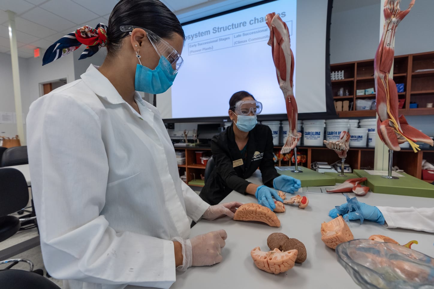 Embry Riddle Aeronautical University Licenciatura en Ciencias en