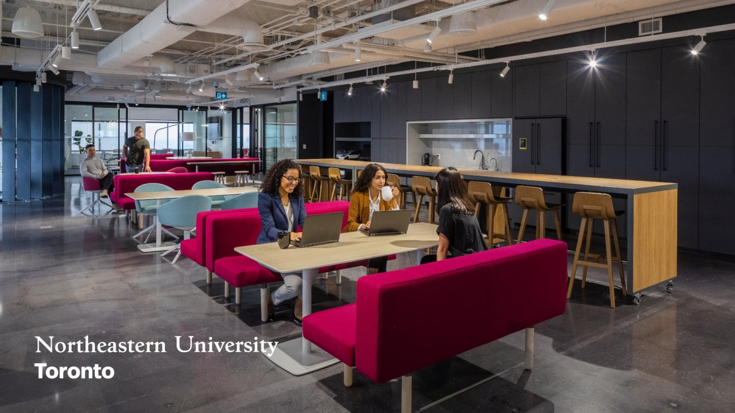 Northeastern University Ms Business Analytics Northeastern University —Toronto Master of Professional Studies in
