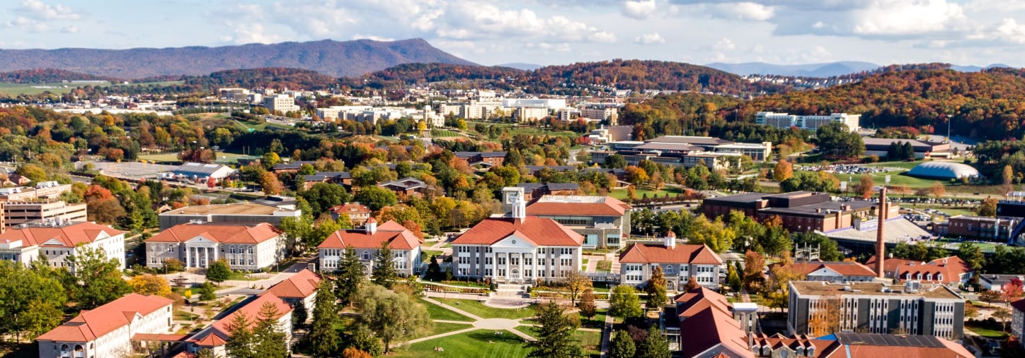 James Madison University B.A. in History