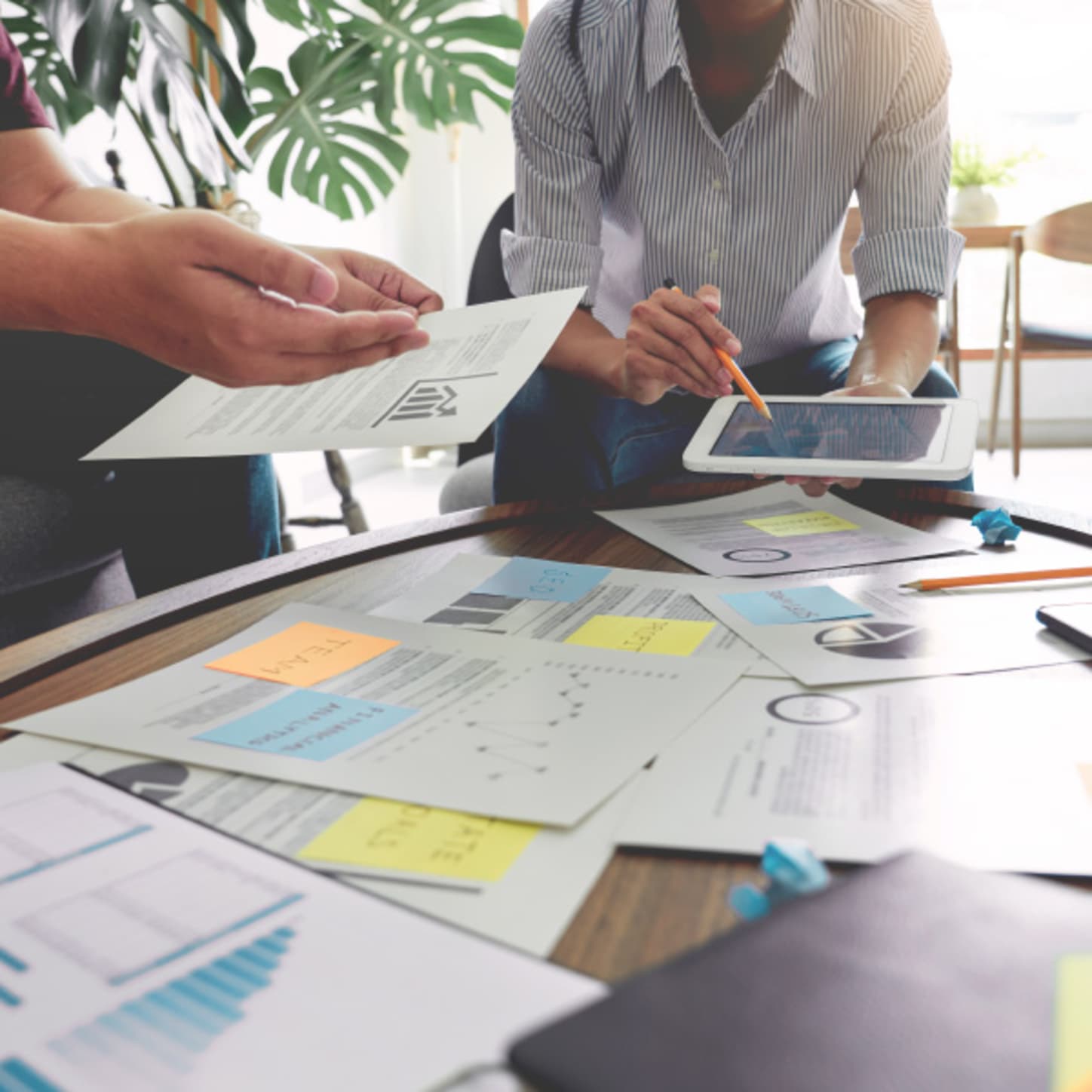 POLI.design Master gespecialiseerd in merkcommunicatie