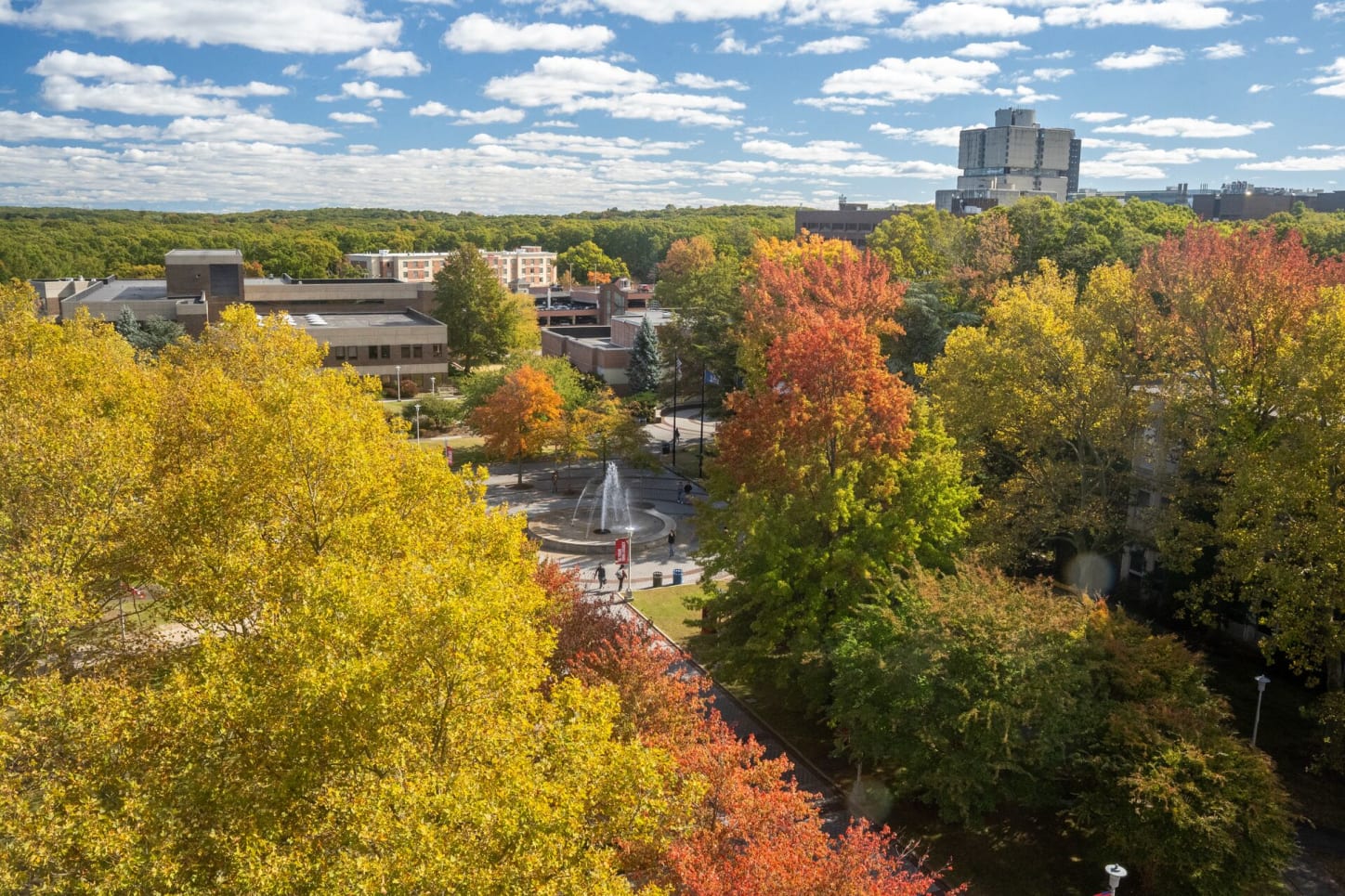 Stony Brook University College of Business