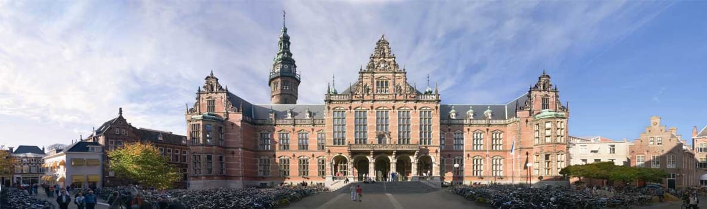 University of Groningen MA History - Politics, Organizations and Learning Histories track