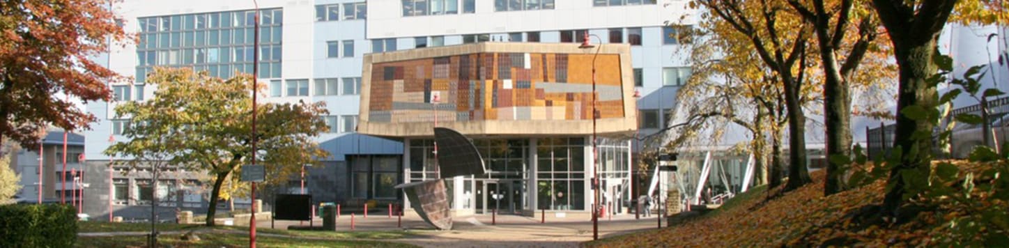 University of Bradford MPH Public Health