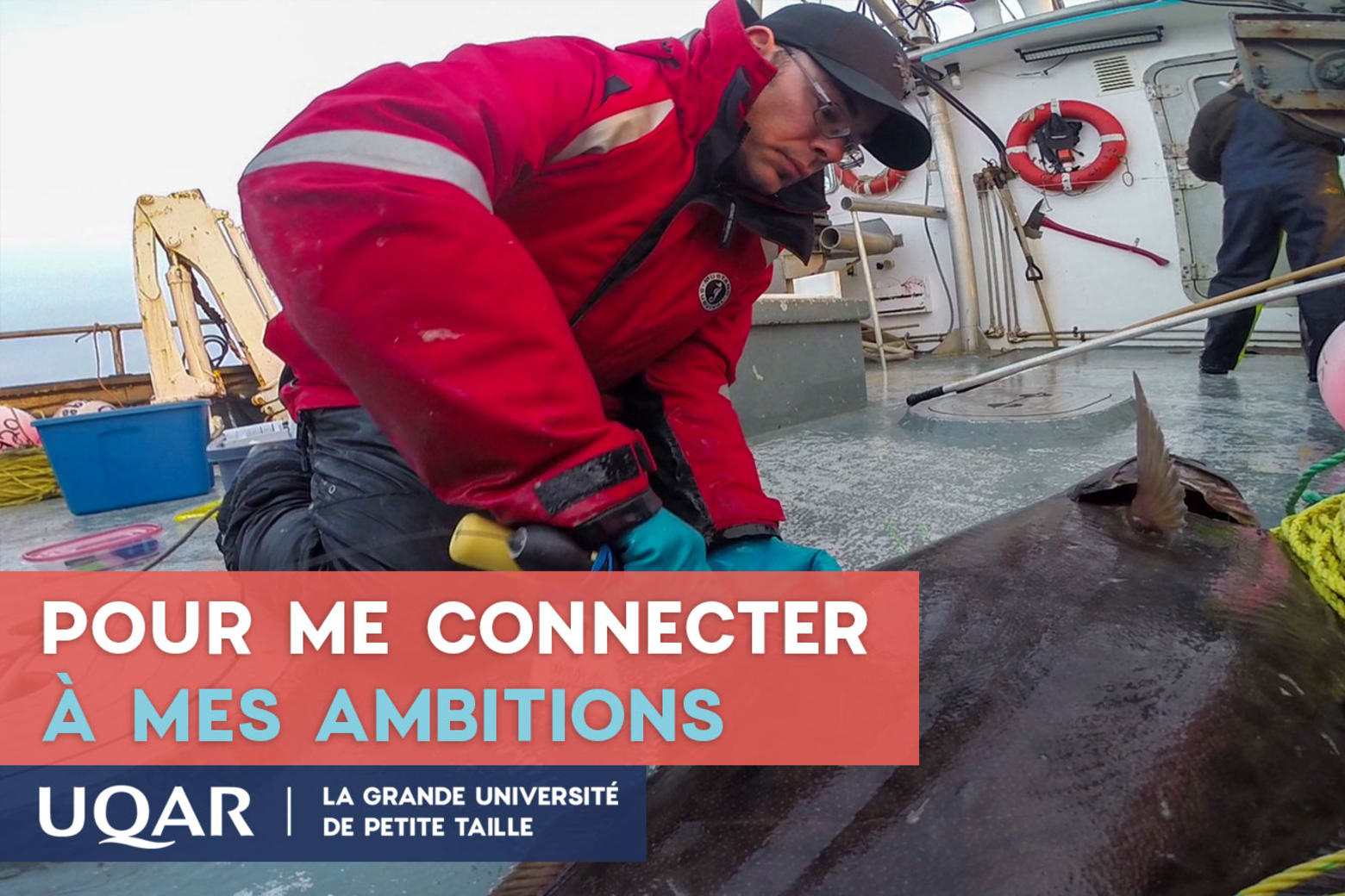 top-degrees-in-management-studies-maritime-management-in-canada-for-2025