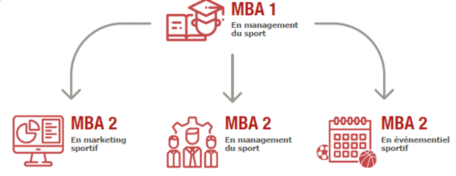 111003_mba-en-management-du-sport_schema-mba.png