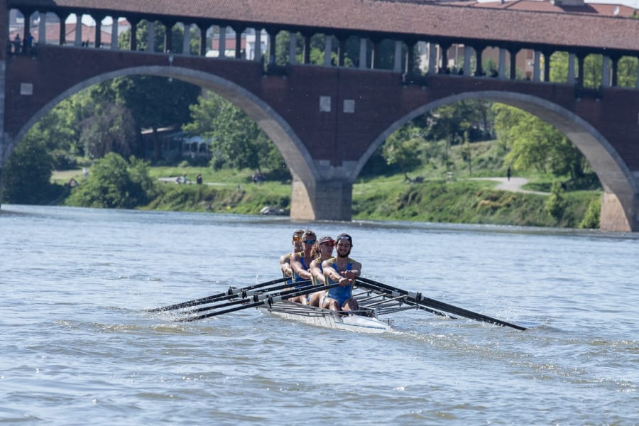Rowers in Pavia