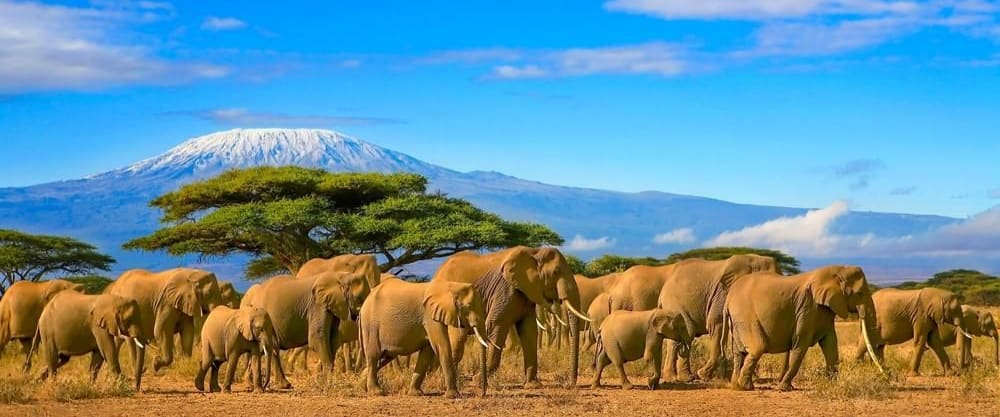 Why You Need To Visit Kenya