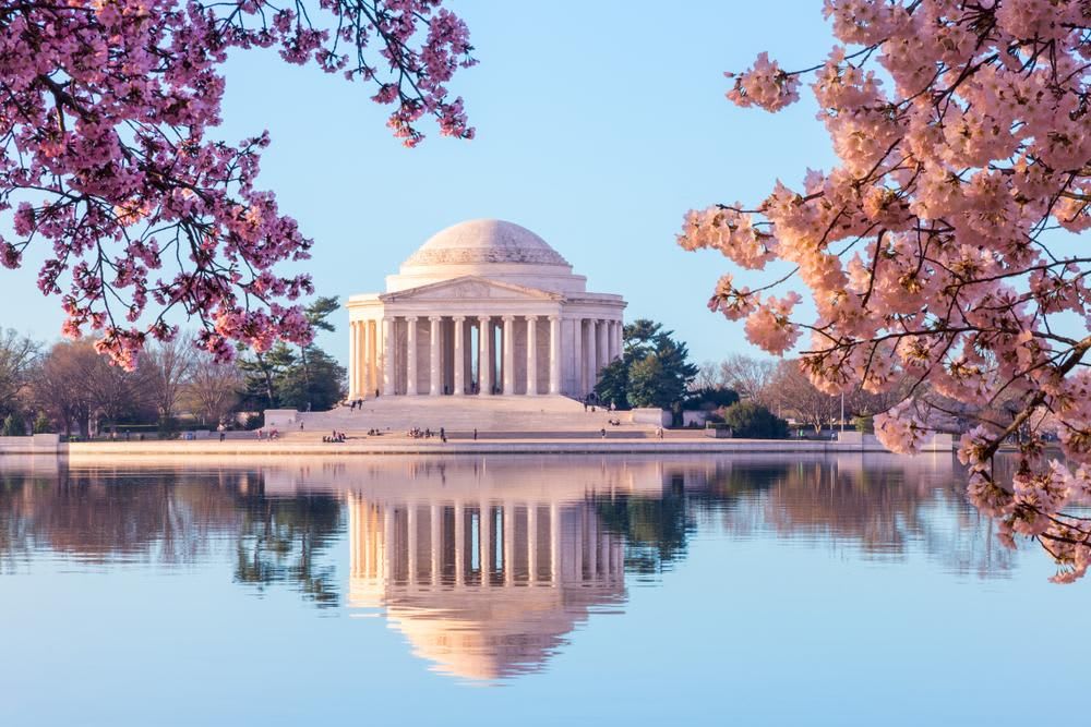 Six Reasons to Study in Washington, D.C.